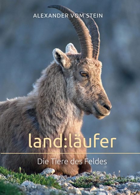 land:läufer - Die Tiere des Feldes | Alexander vom Stein